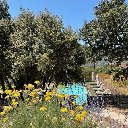 Apartman Casarella Lama