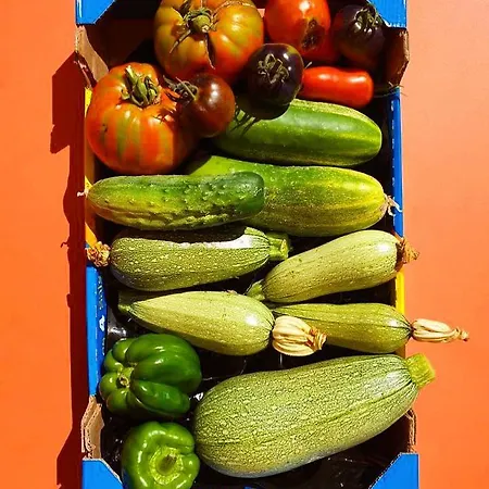 Casarella Apartman *