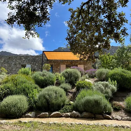 Apartman Casarella *