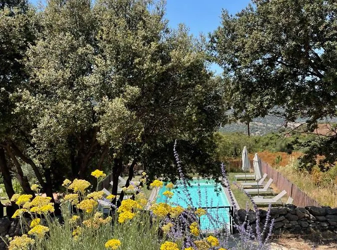 Apartment Casarella Lama