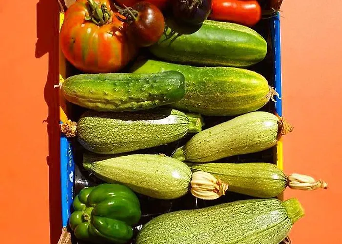 Casarella Apartment *