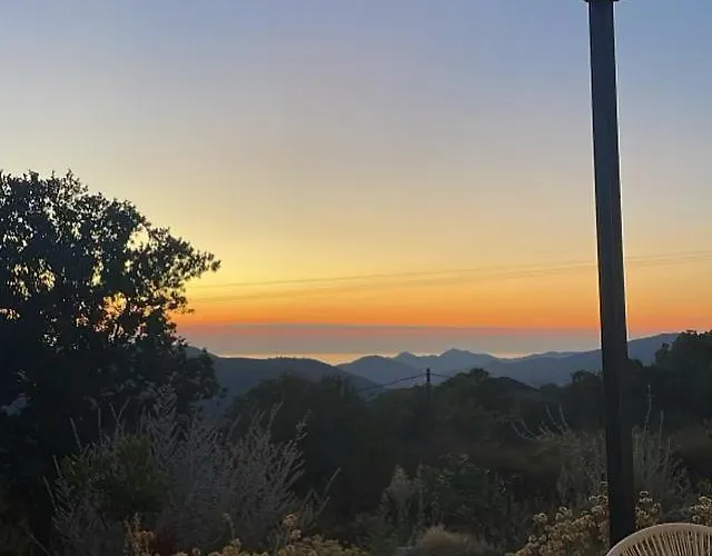 Daire Casarella Lama